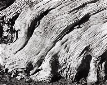 EDWARD WESTON (1886-1958)/COLE WESTON (1919-2003) Edward Weston Portfolio.